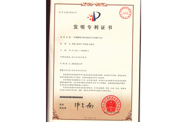 一种缓解视力疲劳蓝莓含片的制作方法