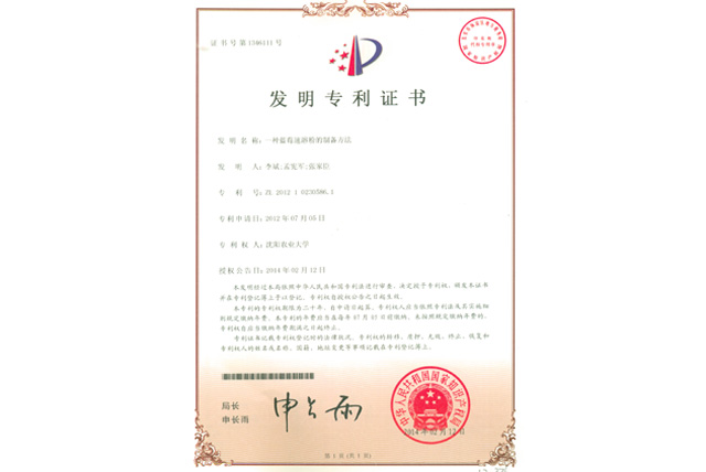 蓝莓速溶粉制备方法